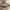 Frigg serien