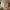 Balder Snedkerskab med 3 låger i Massiv FSC Egetræ med Naturolie og Fransk Naturflet - B156 x H200 x D60 cm
