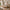 Freja timmermansbedframe in massief eikenhout met hoog voetbord – Natuurlijke olie