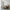 Freja snedker sengeramme i massiv egetræ – Natur olie