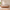 Frigg bedframe in massief eikenhout met houten poten zonder hoofdbord – Natuurlijke olie