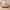 Frigg bedframe in massief eikenhout met hoofdbord en metalen poten – Natuurlijke olie