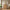 Heimdal meubelmakerscommode/dressoir van massief FSC-eikenhout met 1 deur en 5 laden, met natuurolie – B88 x H113 x D42 cm – wordt gemonteerd geleverd
