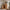 Heimdal meubelmakerscommode/dressoir van massief FSC-eikenhout met 2 deuren en 2 laden, met natuurolie – H91 x B88 x D42 cm – wordt gemonteerd geleverd