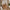 Heimdal meubelmakerscommode/dressoir van massief FSC-eikenhout met 2 kleine en 3 grote laden, met natuurolie, van Organic Sleep – B88 x H100 x D42 – wordt gemonteerd geleverd