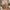 Heimdal meubelmakerscommode/dressoir van massief FSC-eikenhout met 2 kleine en 3 grote laden, met natuurolie, van Organic Sleep – B88 x H100 x D42 – wordt gemonteerd geleverd