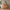 Heimdal meubelmakerscommode/dressoir met 3 laden en 3 deuren van massief FSC-eikenhout en natuurolie, op metalen poten – H100 x B130 x D48 cm – wordt gemonteerd geleverd