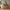 Heimdal meubelmakerscommode/dressoir met 3 laden en 3 deuren van massief FSC-eikenhout en natuurolie, op metalen poten – H100 x B130 x D48 cm – wordt gemonteerd geleverd