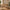 Sif Snedker-bureau van massief FSC-beukenhout – natuurlijke olie - B55 x H177 x L126