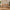 Sif Snedker-bureau van massief FSC-beukenhout – natuurlijke olie - B55 x H177 x L126