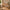 Sif Snedker-bureau met bureaubladplank van massief FSC-beukenhout – natuurlijke olie B55 x H94 x L126