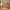 Sif Snedker-bureau met bureaubladplank van massief FSC-beukenhout – natuurlijke olie B55 x H94 x L126