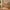 Sif Snedker-bureau met bureaubladplank van massief FSC-beukenhout – natuurlijke olie B55 x H94 x L126