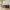 Idun TV-bord med lys bred i massiv egetræ – tabacco – billede 2