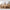 Mane spisebord rundt i massiv egetræ, model 50 – billede 42