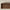 Tyr TV-bord stor i massiv egetræ – tabacco – billede 14