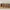 Idun TV-bord bred i massiv egetræ – tabacco – billede 21