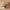 Idun TV-bord bred i massiv egetræ – tabacco – billede 28