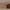 Idun TV-bord med lys bred i massiv egetræ – tabacco – billede 31