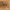 Forseti vitrineskab lav i massiv egetræ – billede 22