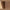 Tyr kommode med skuffer i massiv egetræ – tabacco, med glas – billede 16