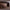 Embla skab i massiv fyrretræ – billede 14