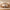 Frigg-bedframe van massief eikenhout met hoofdbord, houten poten en laden – natuurlijke olie