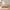 Frigg bedframe in massief sparrenhout met metalen poten zonder hoofdbord – Bijenwas