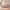 Frigg bedframe in massief sparrenhout met houten poten zonder hoofdbord – Bijenwas