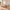 Frigg bedframe in massief sparrenhout met houten poten zonder hoofdbord – Bijenwas